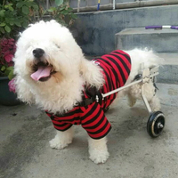 狗狗輪椅癱瘓狗代步車殘疾狗輔助后腿鍛煉車斷腿狗寵物車康復輪椅