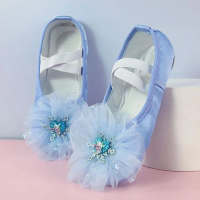 Elsa Princess Dance Children's Ballet Shoes for Toddlers, Soft Sole Baby Chinese Cat Claw Dance Shoe