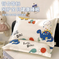 2025 ปลอกหมอนเด็กผ้าฝ้ายบริสุทธิ์ คู่ 30x50 ปลอกหมอนเดี่ยว 40x60 ปลอกหมอนการ์ตูน