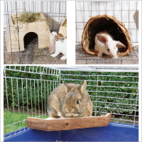 專業兔子窩豚鼠龍貓荷蘭豬躲避棲息木屋無漆實木木屋帶草架