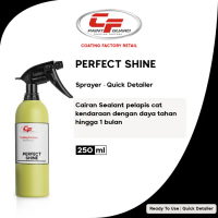 Rexco 81 Injector Carburator Cleaner