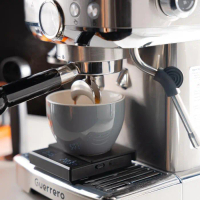MESIN KOPI ESPRESSO - ESPRESSO MACHINE GUERRERO TBK01 PRO 58MM-Myosotis7