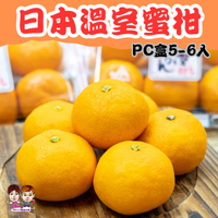【緁迪水果JDFruit】 日本空運日本溫室蜜柑 無籽溫室蜜柑-PE盒 (約350g~400g/盒)