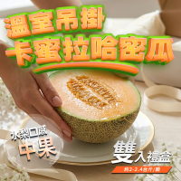 【GOZUII 果姬】苗栗卡蜜拉哈密瓜中果雙入禮盒(脆甜水梨口感｜焦糖尾韻｜2.2斤±10%/顆｜410項農藥未檢出)