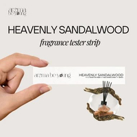 Paper Test Smelling Strip Fragrance Sample Pengharum Ruangan Reed Diffuser Test Parfum Mobil Lilin A