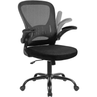 Height Adjustable Home Office Desk Chairs Chair Ergonomic Computer Chair With Flip-up Arms and Lumbar Support Black Furniture