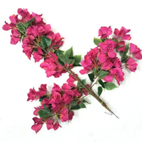 2pcs Artificial Bougainvillea glabra Flower Branch For Plant Wall Background Wedding Home Hotal Office Bar Decorative