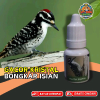 Vitamin Burung Pelatuk Bawang