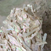 100g/lot Natural Crushed Abalone Mother of Pearl shell for DIY Jewelry Crushed MOP Pearl shell scraps for fake nails