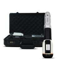 DS-808 1200W Terahertz Blow Wand Blower Air Hot Itera Care Quantum Wand Physiotherapy Meridian Itera