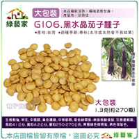 【綠藝家】大包裝G106.黑水晶茄子種子1.3克(約270顆) F1 生長勢強 早生 中高株 葉色濃綠