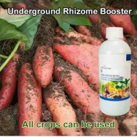 Element watersoluble fertilizer, Underground rooting and seedling expansion root foliar fertilizer