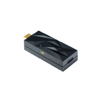 【ifi Audio】iSilencer Max Type C toType C音訊降噪器(鍵寧公司貨)