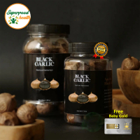 Black Garlic (Bawang Hitam Tunggal) 1kg