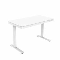 【Loctek 樂歌】ET200 二節式電動升降桌 120*60 鋼化玻璃桌面抽屜款(免費安裝/工作桌/居家辦公桌/電腦桌)
