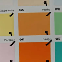 No Drop 1KG Cat Pelapis Anti Bocor Berbagai Warna 1Kg 061 Orange