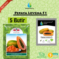 Bibit / Benih Pepaya California Lovena F1 Cap Panah Merah (5 Butir) Hidroponik Ku