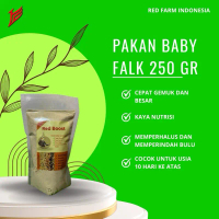 Pakan Baby Burung Falk Red Boost 250Gr (Bubur Lolohan)