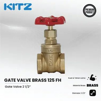 KITZ Gate Valve 2 1/2 Inch Brass 125 FH