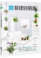 綠色飯糰  苔球好朋友