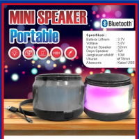 Mini Speaker Radio Bluetooth Portable S300