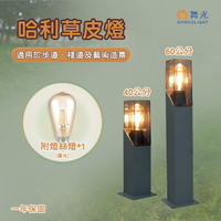舞光★LED 哈利草皮燈 40cm / 60cm  適用於步道、藝術造景