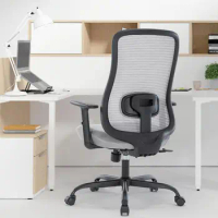 Asukale Ergonomic Office Computer Desk Chair Grey