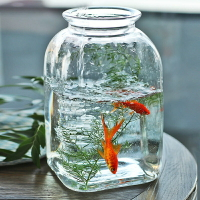 玻璃插花瓶歐式彩色花器魚缸方形水培花束客廳大乾燥花瓶透明