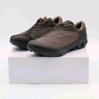 Sepatu Hiking Cloudventure Peak x PAF Ice Moon