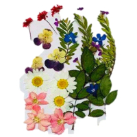【A-ONE 匯旺】綜合壓花材料包 乾燥花 DIY花材 花藝材料 乾燥花 香薰蠟燭 浮油花 壓花