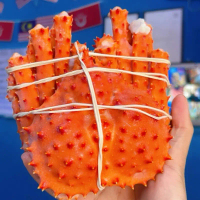 King crab 400g-600g (1pcs) Seafood