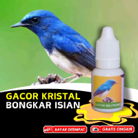Vitamin Burung Tledekan Laut