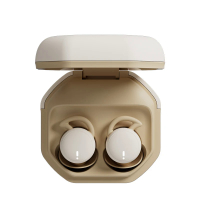 Invisible Sleep Wireless Earphone Bluetooth 5.3 Mini Earbuds IPX5 Waterproof Noise Cancelling Touch