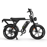 【潮時尚】V8 亞馬遜熱銷 750W 電動自行車 電輔自行車 20英吋 15Ah 胖胎 電動自行車 1個 20寸