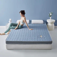 A-Grade Knitted Embroidered Latex Mattress Memory High-Density Mattress Three-Dimensional High-Quality Thickened Tatami Mattress