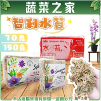 【蔬菜之家】智利水苔(水草)、5A水苔-70公克、150公克(2種包裝可選) // 蘭花 鹿角蕨 植生板 苔蘚