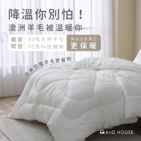 【AnD HOUSE 安庭家居】羊毛被-單人4.5x6.5尺(保暖/蓬鬆/抑菌/冬被)