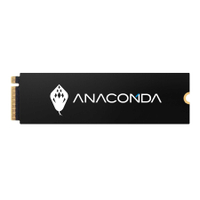 ANACOMDA I2 256GB PCIe Gen3x4 NVMe SSD