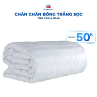 Chăn Chần Bông Trắng Sọc T300 Chống Nhăn Khách Sạn - THANH THUY