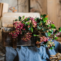 掬涵 接骨木扎束把花束秋色漿果實裝飾插花材自然拍攝道具網紅