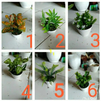 tanaman artificial tanaman hias tanaman plastik