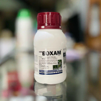BOXAM 200ml Fungisida Obat Lodoh Bawang Merah (JAMINAN ORI)