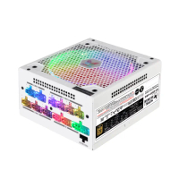 【SUPERFLOWER 振華】LEADEX III ARGB 金牌 全模組 650W