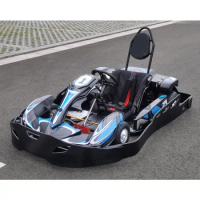 High Speed Go Kart Electric Go Kart Karting Cars for Sale Racing Go Kart Double People Style