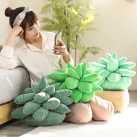 Lifelike Succulents Plush Stuffed Toys Various Cute Potted Flowers Bookshelf Pillow Home Living Room Decoration Girls Gifts