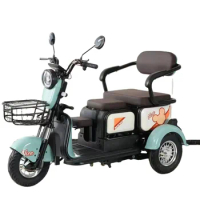 Electric Tricycle for Adult trimotos 48V/60V Cheap Price Tricycle Wholesale Three Wheel