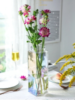 歐式玻璃花瓶五彩色透明插花瓶水培富貴竹百合綠蘿擺件簡約干花瓶