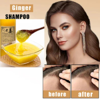 500ml Ginger Hair Care Oil Control Shampoo Grain Ginger Anti-drop Shampoo Hair Care Lotion Professional Repair Damage Hair