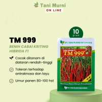 Q&J2 Tani Murni Benih Cabai Keriting Hibrida F1 TM 999 Bibit Cabai Super BIG SALECN820