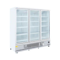 Commercial Upright Glass Door Vertical Display Freezer